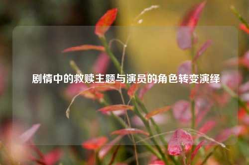  剧情中的救赎主题与演员的角色转变演绎