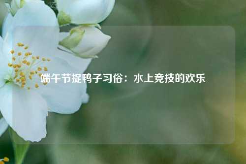 端午节捉鸭子习俗：水上竞技的欢乐