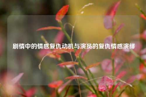  剧情中的情感复仇动机与演员的复仇情感演绎